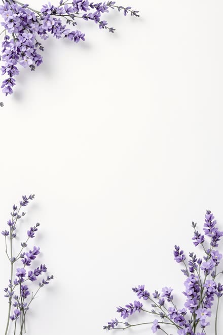 Lavender Peace
