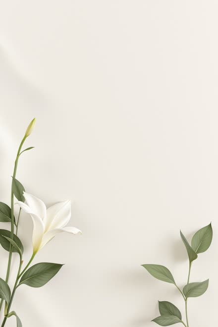 White Lily