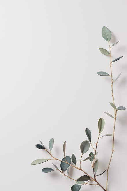 Sage Minimalist