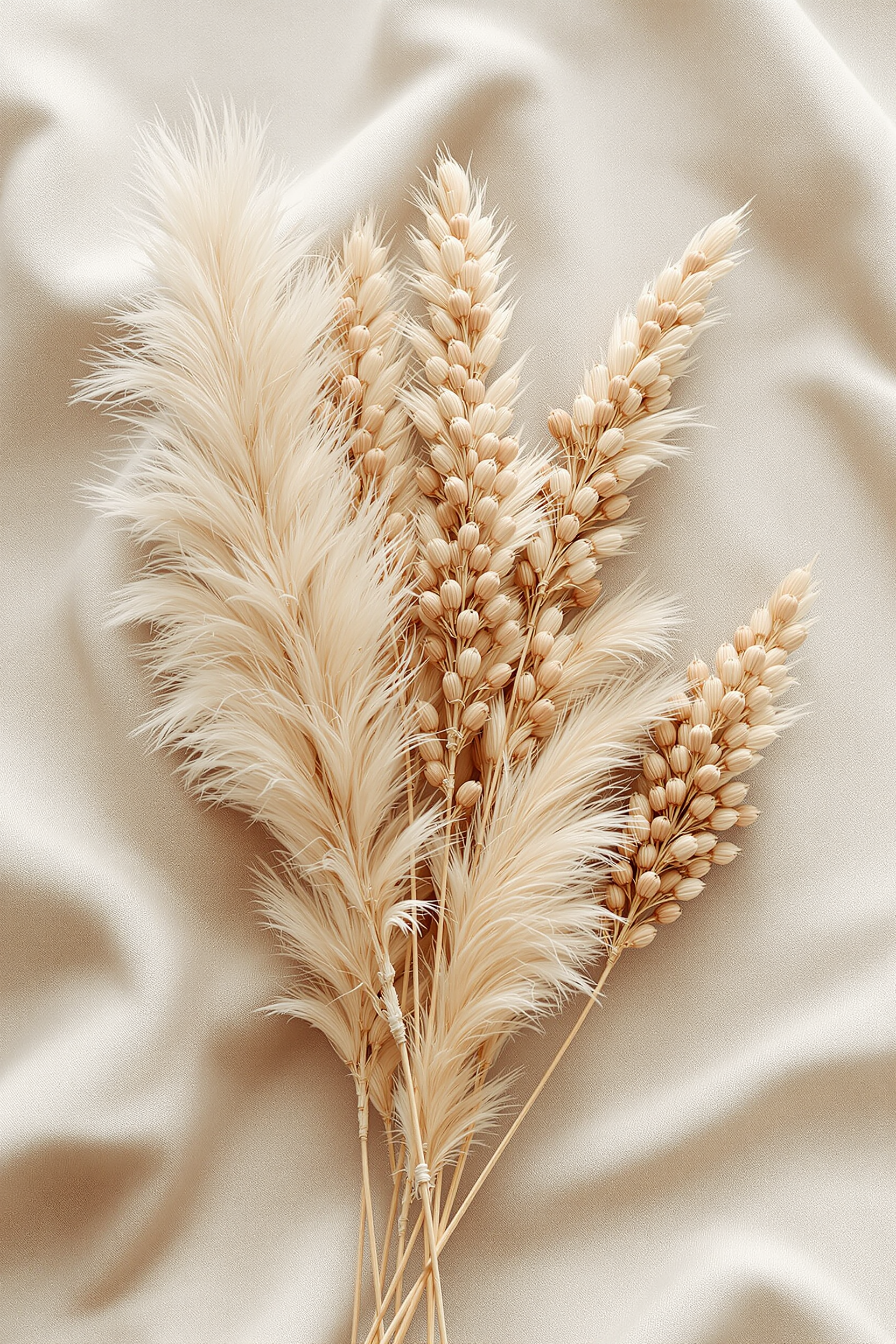 Dried Pampas Neutral