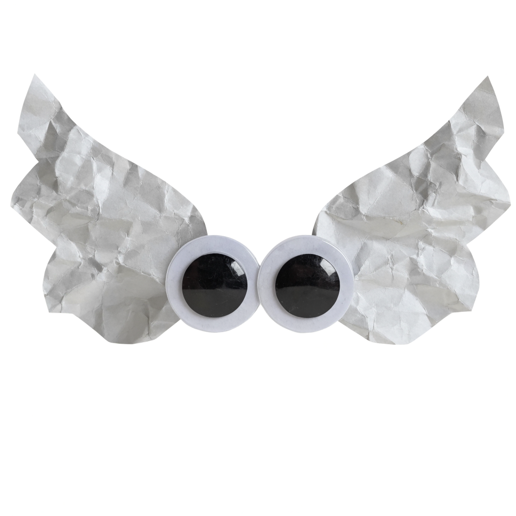 wings